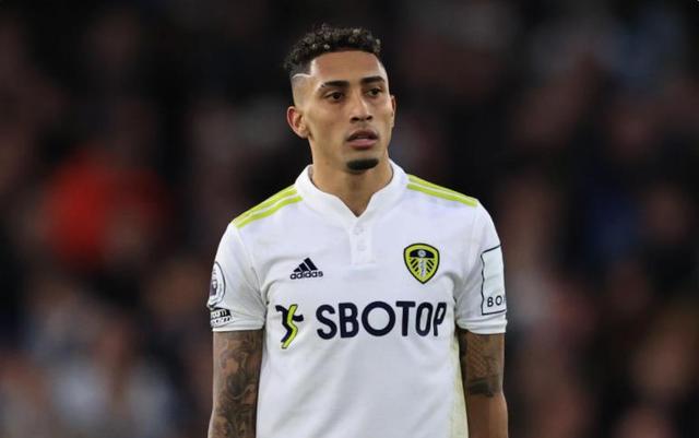 身的综合能 身的综合能